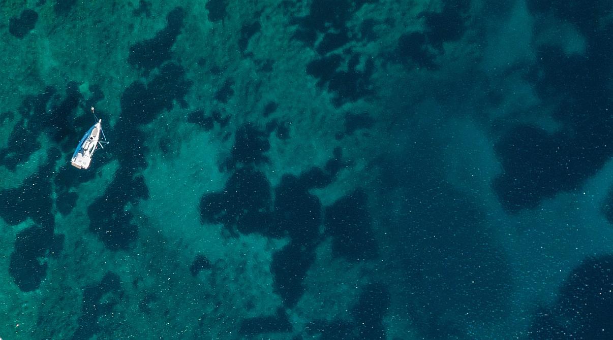 Panagias VIII