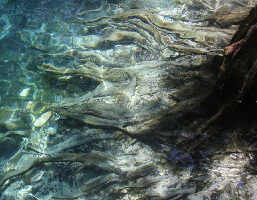 Water in Motion III
