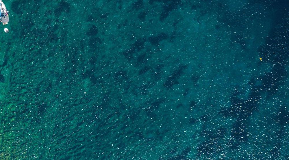 Into the Deep Blue