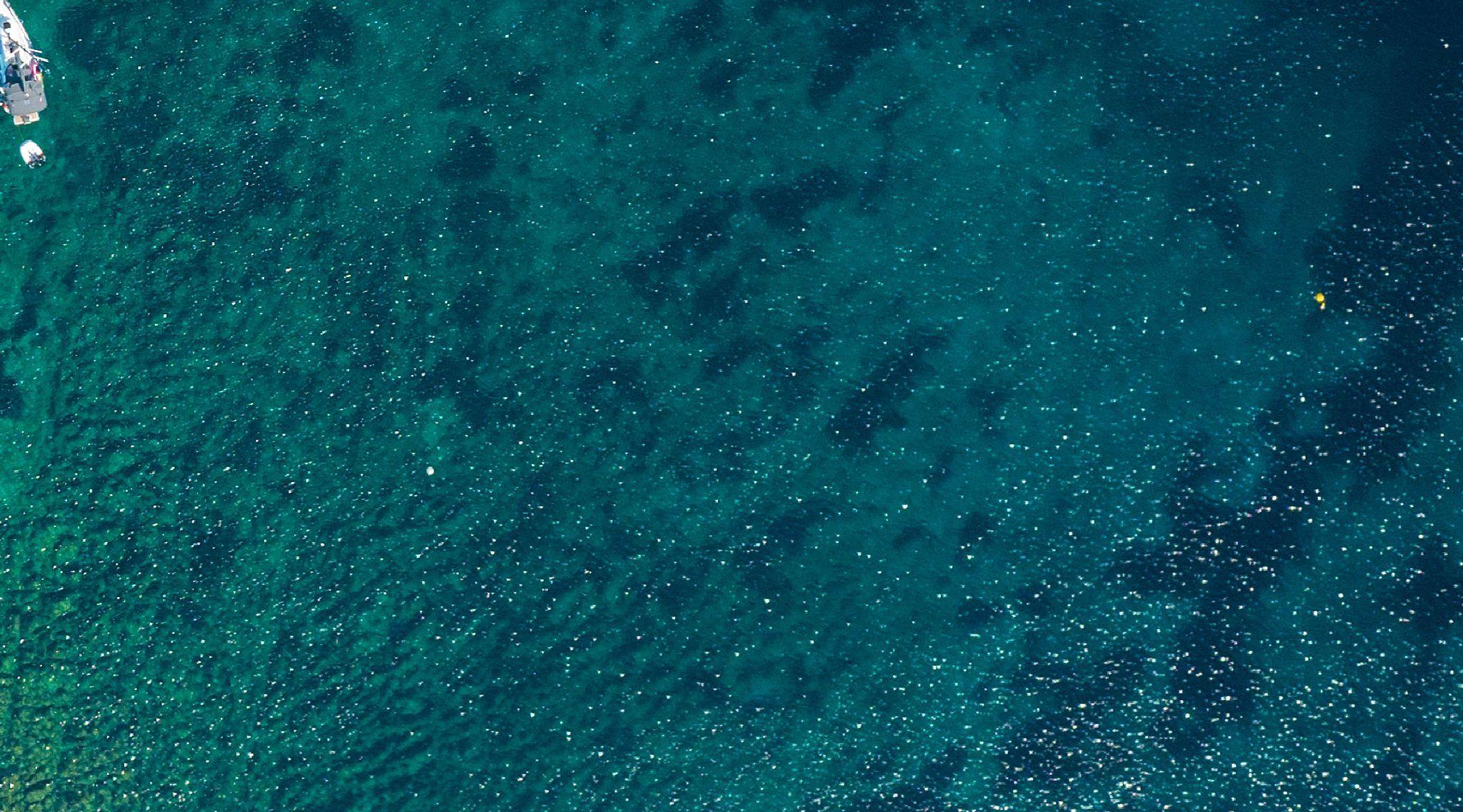 Into the Deep Blue