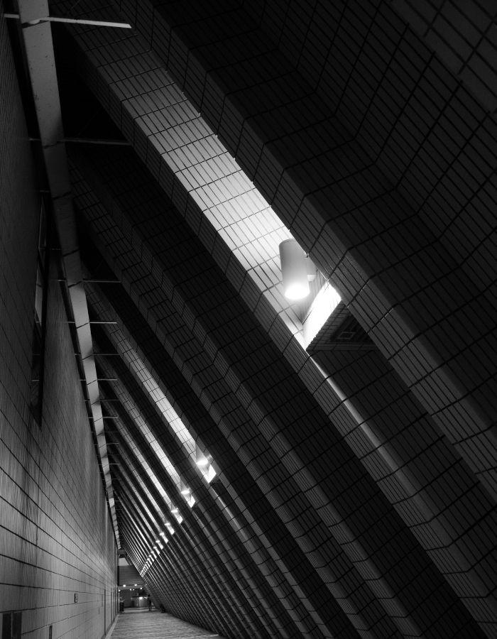 Lighting the Path